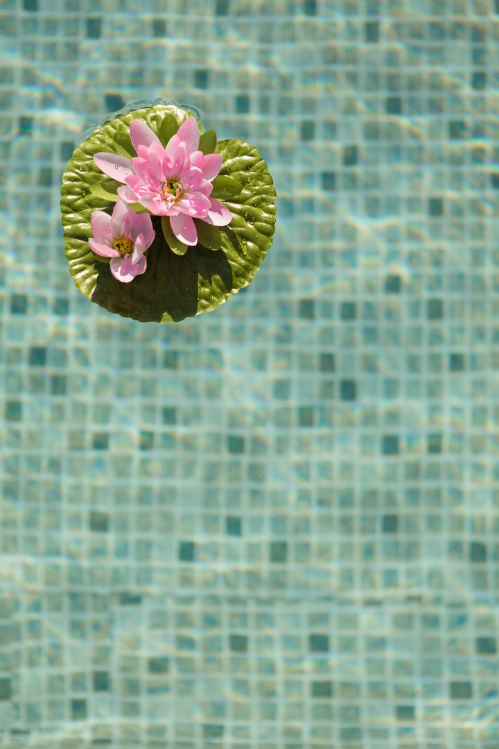 SICOLPOOL - Imagen 26